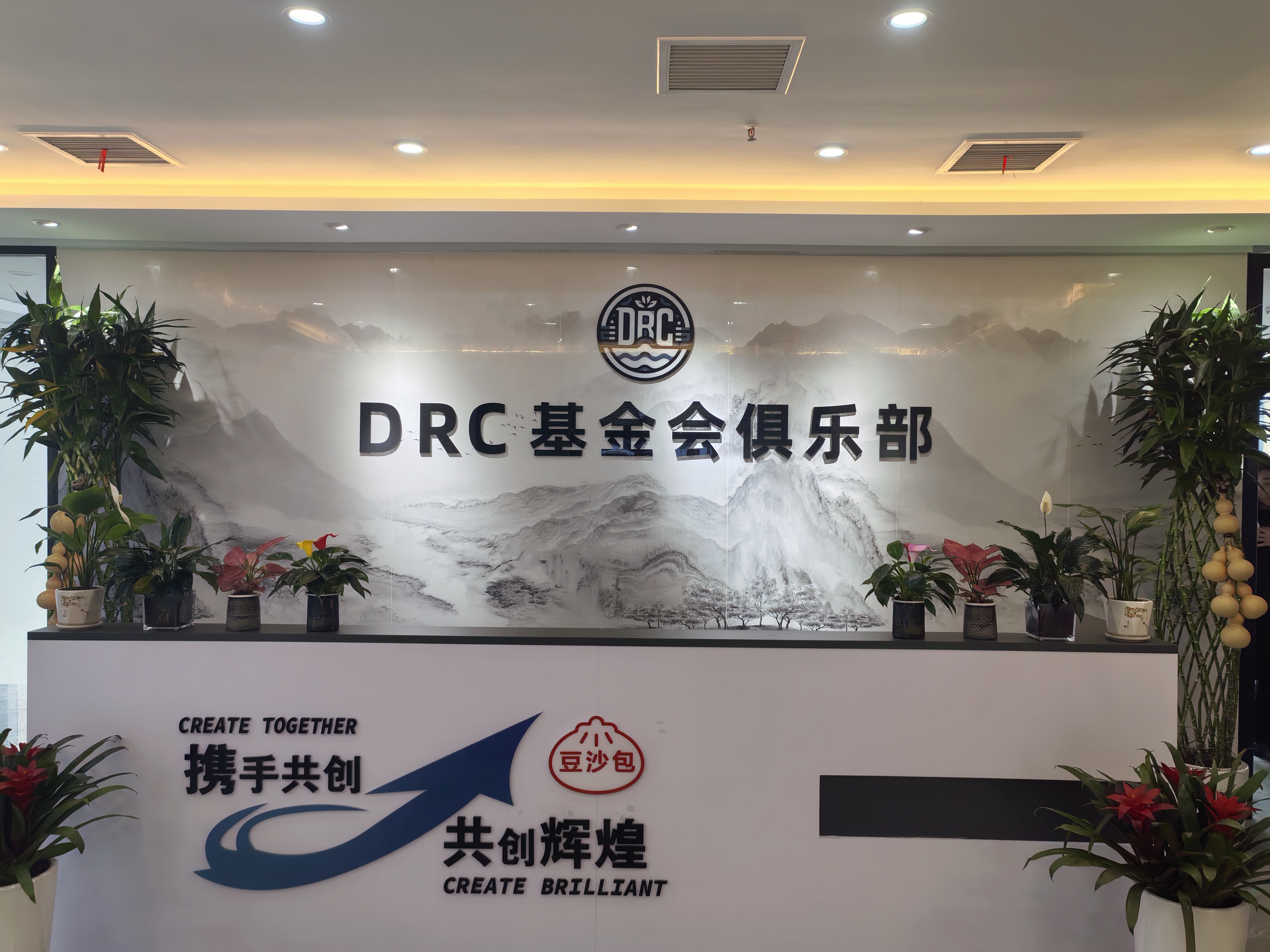 DRC基金会数字经济俱乐部协会在合肥成立